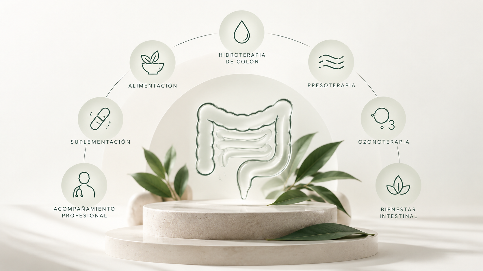 Ecosistema HydraColon — hidroterapia de colon, alimentación, suplementación, ozonoterapia, presoterapia y bienestar intestinal